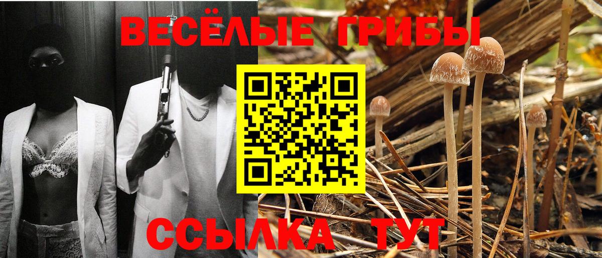 Улан-Удэ  Галлюциногенные грибы ЛСД  Галлюциногенные грибы ЛСД  Вход с VPN 