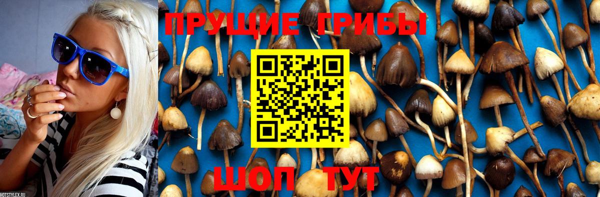 Галлюциногенные грибы Magic Shrooms Улан-Удэ